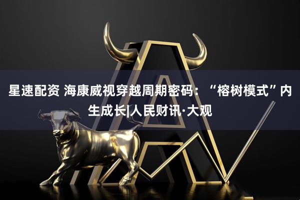 星速配资 海康威视穿越周期密码:“榕树模式”内生成长|人民财讯·大观